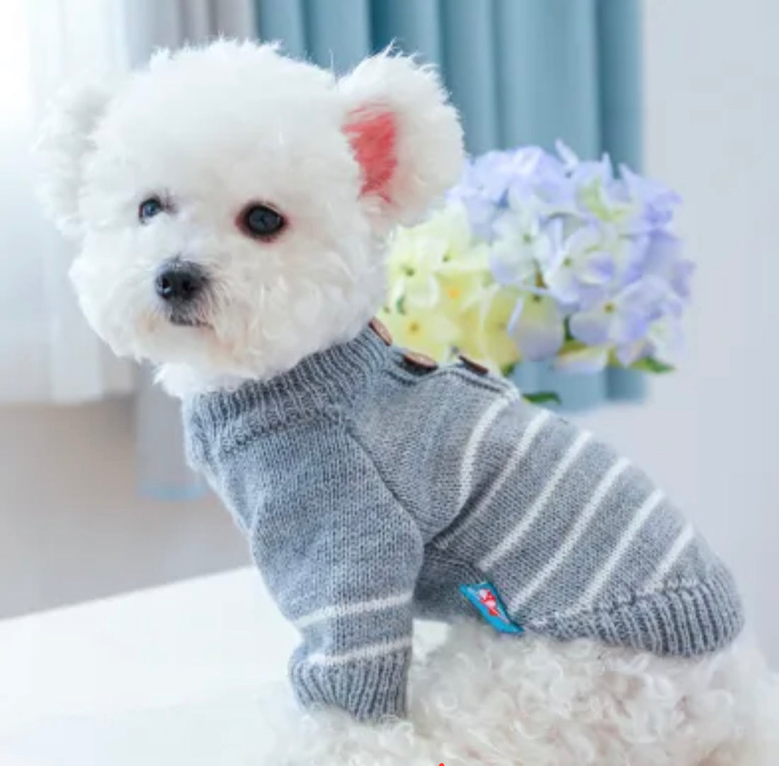  Pet Clothes