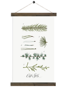  Conifer Study No. 4 | Unique Wall Hanging by Jessica Rose