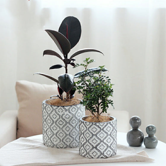 Flowerpot with White and Black Ornate Design