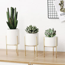  Gold Colored Plant Holder and White Ceramic Pot