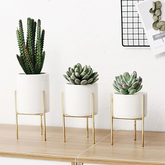 Gold Colored Plant Holder and White Ceramic Pot