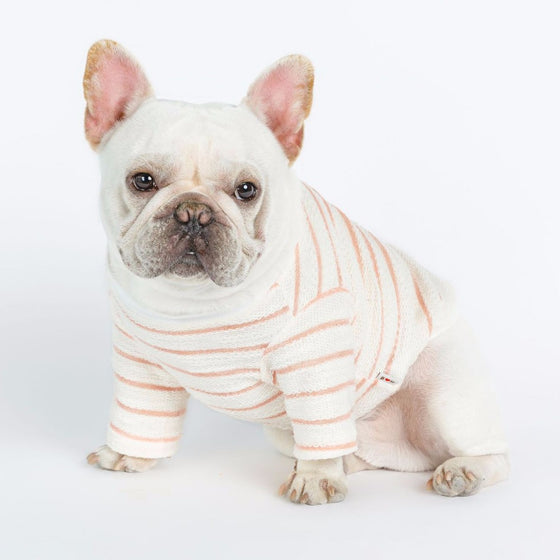 French Bull Dog Clothes in Beige with Stripes | Available in 2 Colors