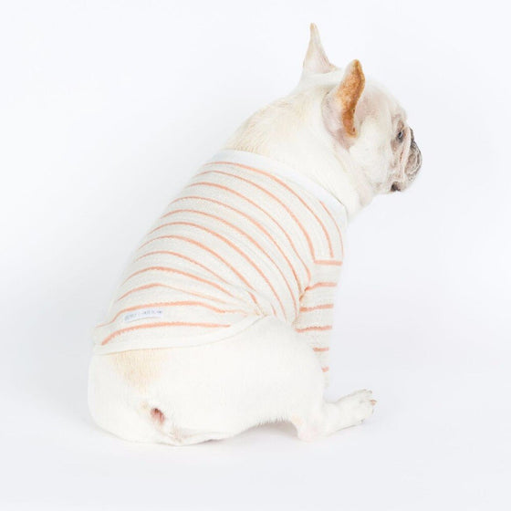 French Bull Dog Clothes in Beige with Stripes | Available in 2 Colors