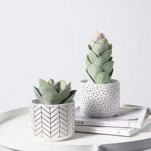  White Modern and Simple Ceramic Flowerpots