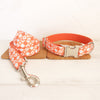 Luxury Orange Dog Collar and Leash in Southwestern Pattern