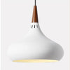 Modern Pendant Lights Available in Multiple Colors