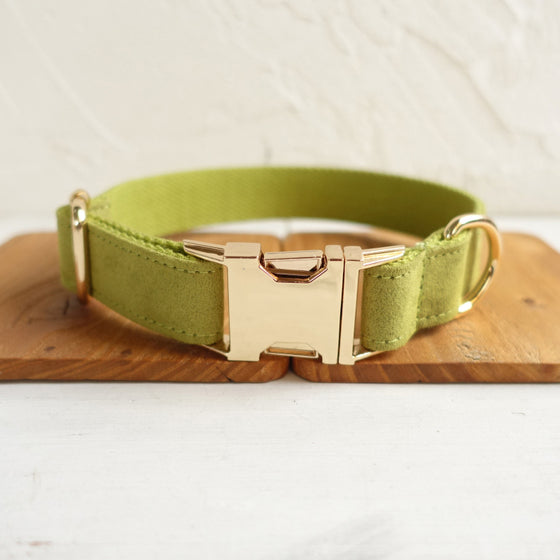 Yellow-green Dog Collar and Leash