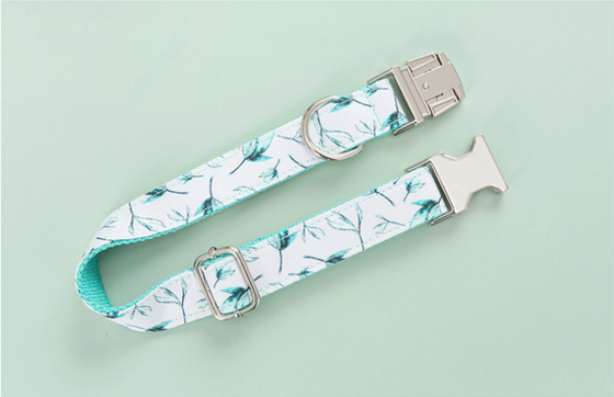 Turquoise Leaf on White Dog Collar and Bowtie with Leash