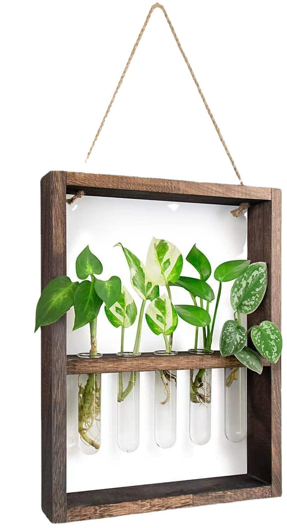 Wooden Wall Framed Plant Display