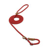 Strong and Sturdy Nylon Dog Leash