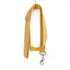 Yellow Dog Collar and Leash