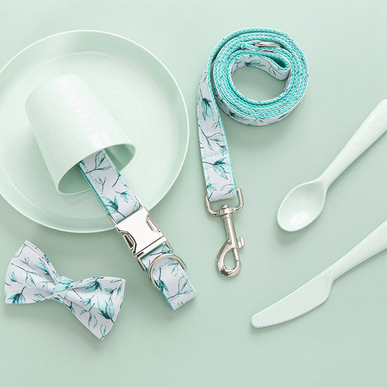 Turquoise Leaf on White Dog Collar and Bowtie with Leash