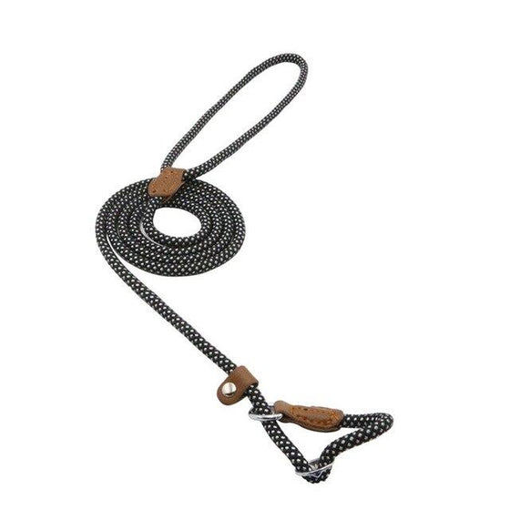 Strong and Sturdy Nylon Dog Leash