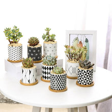  Black and White Ceramic Succulent Pot Collection