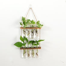  Double Tiered Wooden Wall Hydroponic Decoration Set