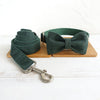 Luxury Pet Collar Leash in Green Velvet