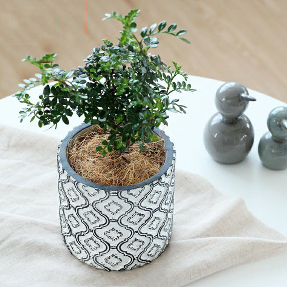 Flowerpot with White and Black Ornate Design