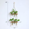 Double Tiered Wooden Wall Hydroponic Decoration Set