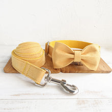  Yellow Dog Collar and Leash