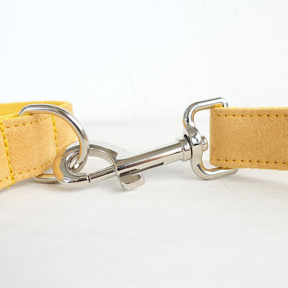 Yellow Dog Collar and Leash