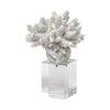 6" White Contempo Coral and Glass Sculpture | Available in 2 Sizes