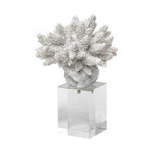  6" White Contempo Coral and Glass Sculpture | Available in 2 Sizes