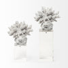 6" White Contempo Coral and Glass Sculpture | Available in 2 Sizes