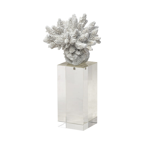 6" White Contempo Coral and Glass Sculpture | Available in 2 Sizes