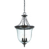 Belle 3-Light Architectural Bronze Hanging Light