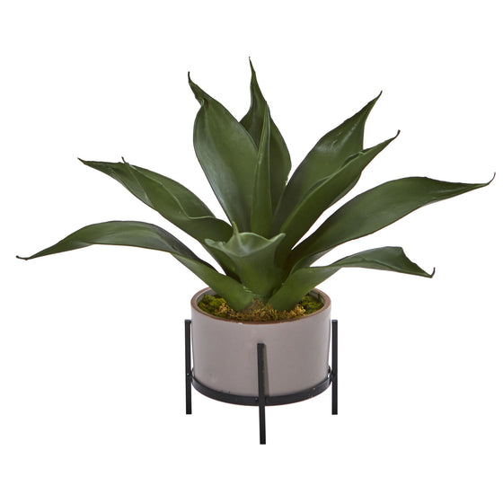 14” Agave Succulent in Decorative Planter