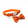 Luxury Orange Dog Collar and Bowtie