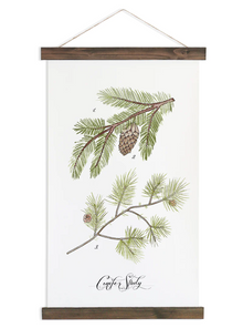  Conifer Study Vol. 1 | Unique Wall Hanging Art by Jessica Rose