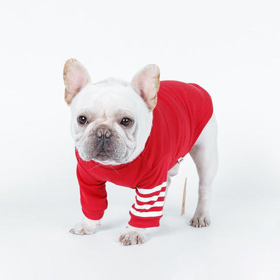 Athletic Dog Sweater | Available in Several Sizes & Colors