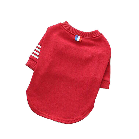 Athletic Dog Sweater | Available in Several Sizes & Colors