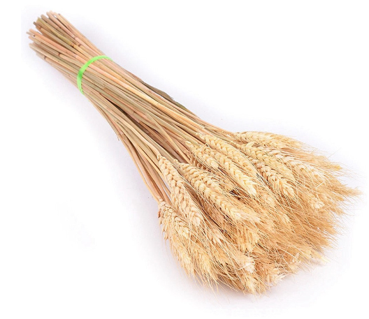 PAMPAS Grass Dried Flower Bouquet Small Reed Decoration