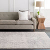 Area Rug -Distressed Oriental Style Light Grey / Beige in 3' x 5'