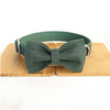 Luxury Pet Collar Leash in Green Velvet