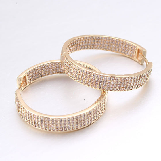 Zircon Hooped Earrings in Gold Finish