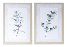  Set of 2 -Eucalyptus Prints