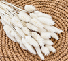 PAMPAS Grass Dried Flower Bouquet Small Reed Decoration