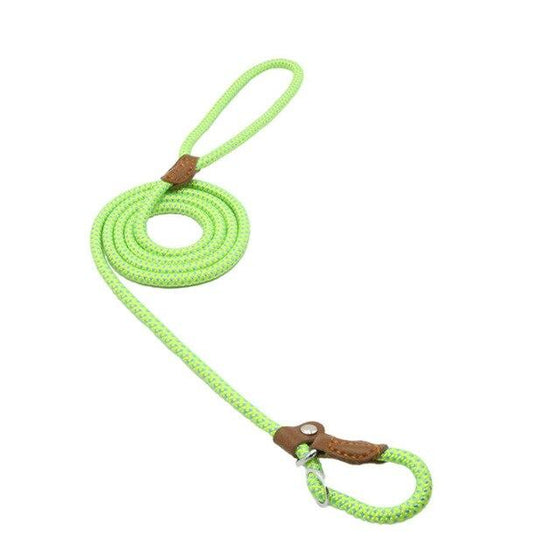 Strong and Sturdy Nylon Dog Leash