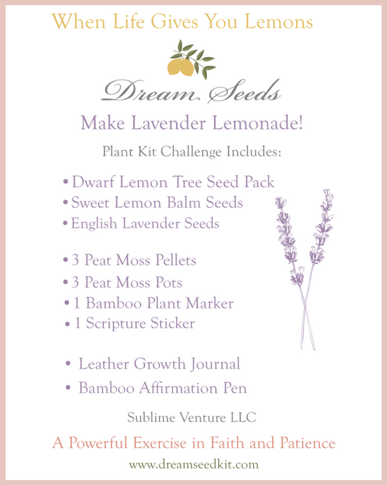 Dream Seeds Challenge Plant Kit -When Life Gives You Lemons| Journals in 6 Colors