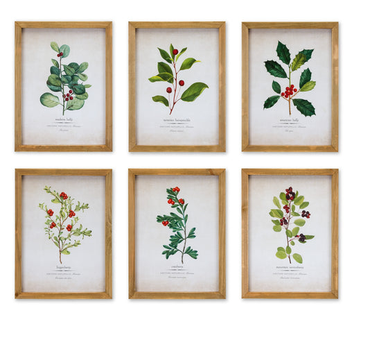 Set of 6 -Winter Berry Framed Prints