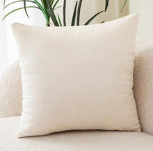  20" x 20" Velvet Throw Pillow in Off-White