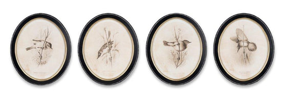 Set of 4 Bird Prints in Round Black Frames with Glass