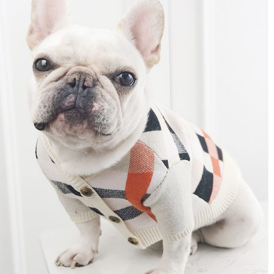 Beige, Black, and Red Plaid Dog Sweater