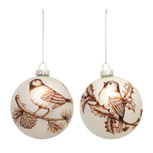  3 Sets of 2 Glass Ball Bird Christmas Ornaments