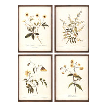  Set of 4 Yellow Floral Prints in Rustic Frames with Glass