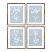  Set of 4 -Framed Blue and White Floral Prints