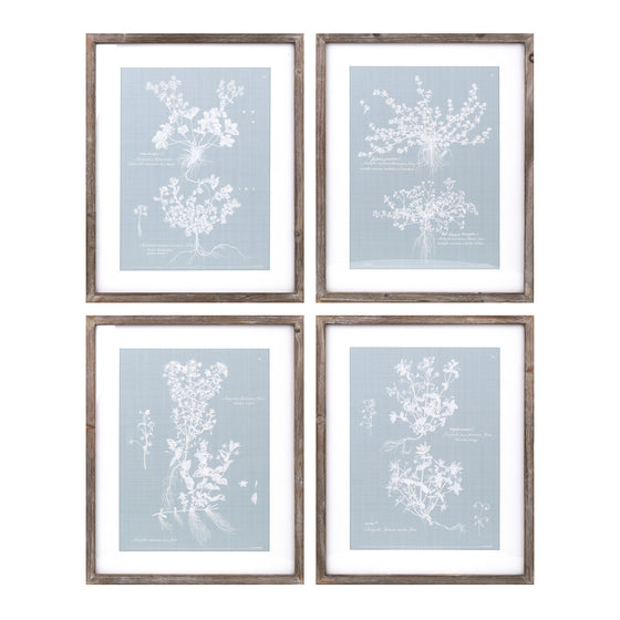 Set of 4 -Framed Blue and White Floral Prints